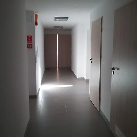 Feniks Lux 2+2