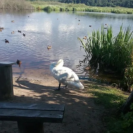 Feniks Lux 2+2 Lägenhet Kołobrzeg