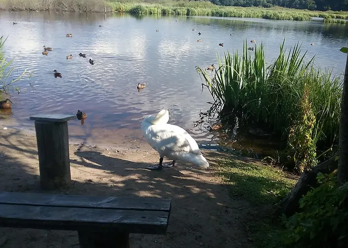 Feniks Lux 2+2 Apartament Kołobrzeg