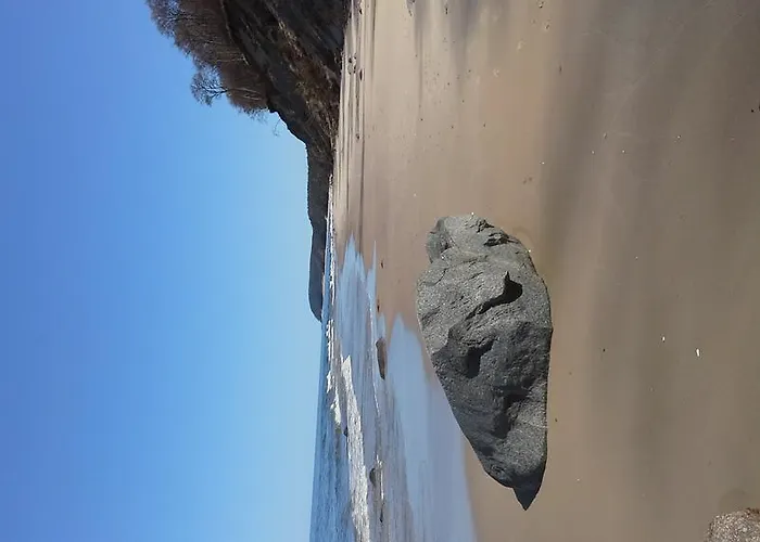 Apartament Feniks Lux 2+2